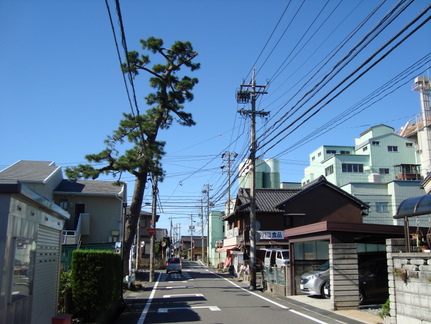 東海道五十三次その21 富田 間の宿 亀山宿 1 ボラボラわーるど 旅と街道歩きブログ