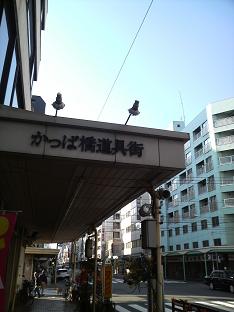 2008110108280000.JPG