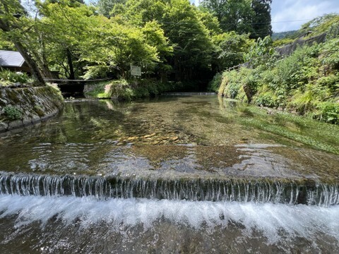 2024-06-08 10.01.jpg