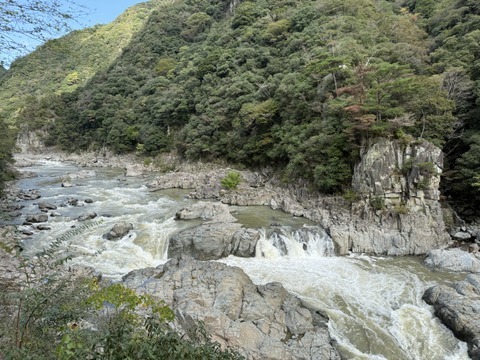 2024-11-04_11-17-11_507.jpg