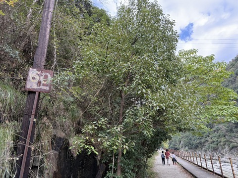 2024-11-04_12-29-53_618.jpg