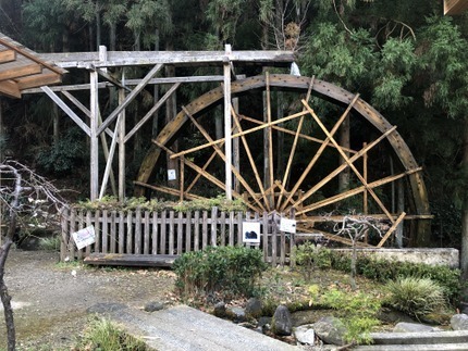 BBIG4873.jpg