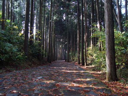 DSC00471.JPG