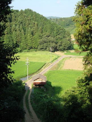 DSC04376-1.JPG