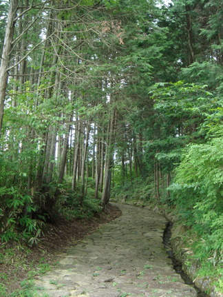 DSC04613.JPG
