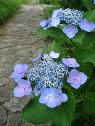 DSC04648.JPG