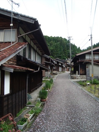 DSC04654.JPG