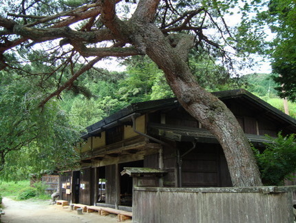 DSC04664.jpg