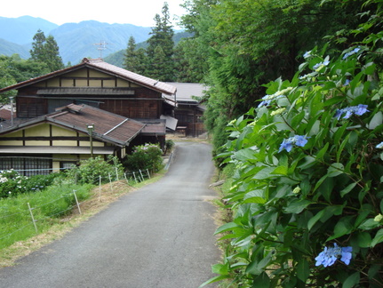 DSC04670.JPG