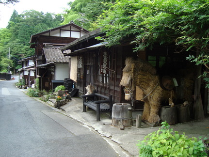DSC04675.JPG