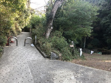 GYVM9339.jpg