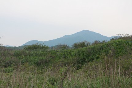 IMG_0072.jpg