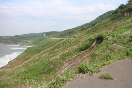 IMG_0117.jpg