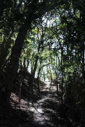 IMG_0576.jpg