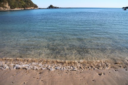 IMG_0680.jpg