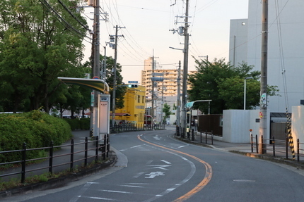 IMG_0720.jpg