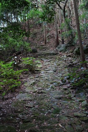 IMG_0743.jpg