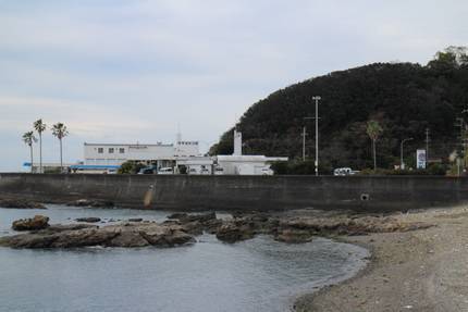 IMG_0878.jpg