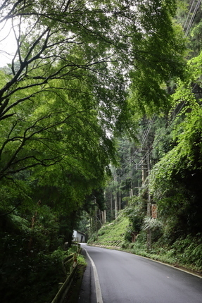 IMG_0897.jpg
