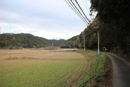 IMG_0930.jpg