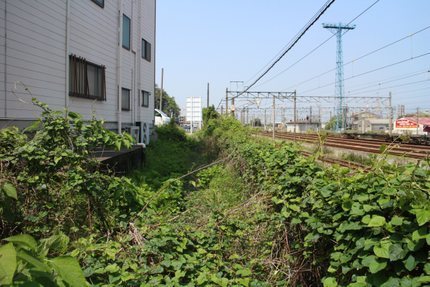 IMG_0995.jpg