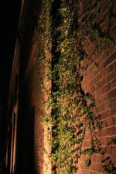 IMG_1138.JPG