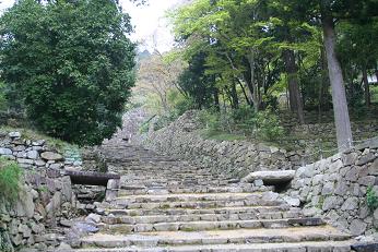IMG_1142.jpg