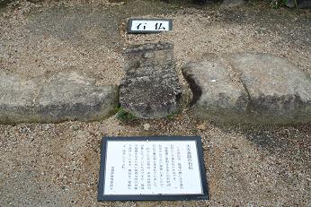 IMG_1144.jpg