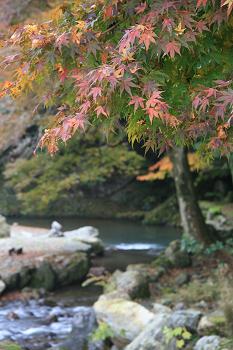 IMG_1234.JPG