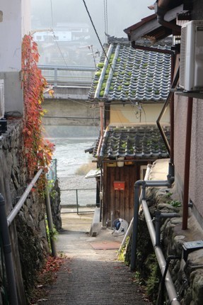 IMG_1268.jpg