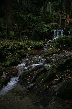 IMG_1300.JPG