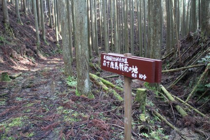 IMG_1381.jpg