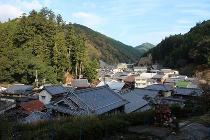 IMG_1388.jpg