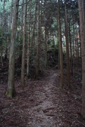 IMG_1482.jpg