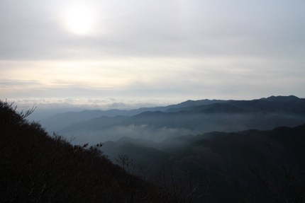 IMG_1529.jpg