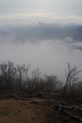IMG_1540.jpg