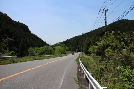 IMG_1617.jpg