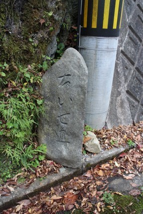 IMG_1658.jpg