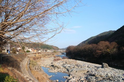 IMG_1987.jpg