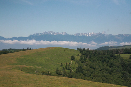IMG_2168.JPG