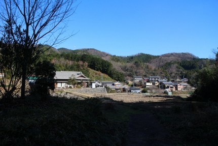 IMG_2714.jpg