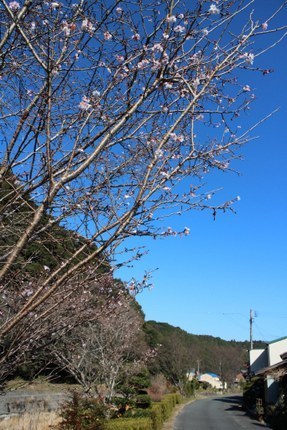 IMG_2755.jpg