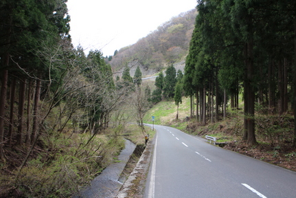IMG_3134.JPG