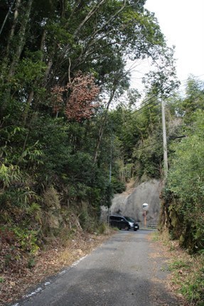 IMG_3265.jpg