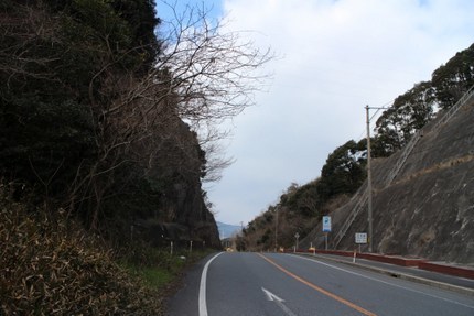 IMG_3287.jpg