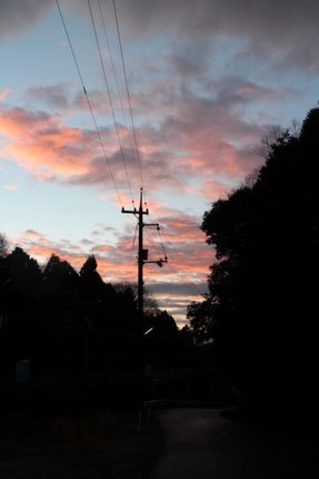 IMG_3350.jpg