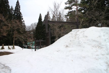 IMG_3704.jpg