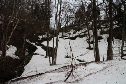 IMG_3721.jpg