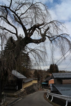 IMG_3869.jpg
