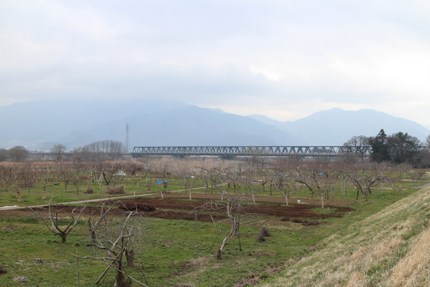 IMG_4110.jpg